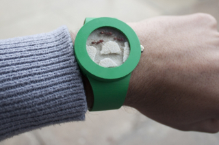 Illustration for article titled Showcase Your Interest In Animal Cruelty With This Creepy "Ant Watch"